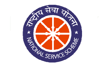 NSS logo